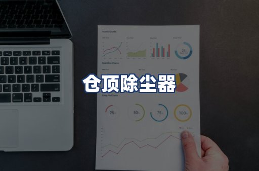 仓顶除尘器